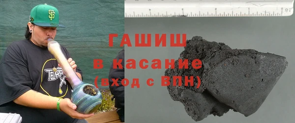 гашик Алексин