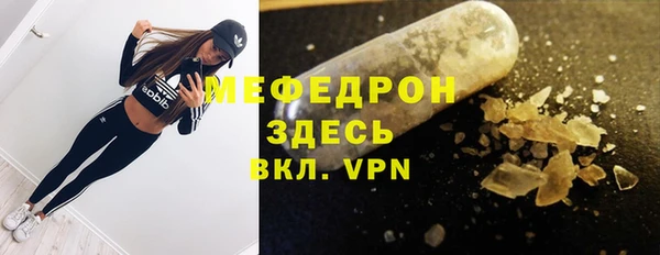 индика Каменногорск