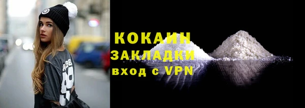 PSILOCYBIN Каменка
