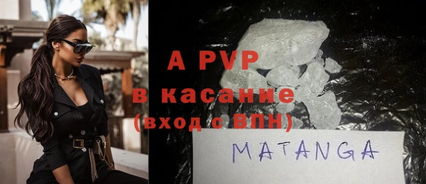 гашик Алексин