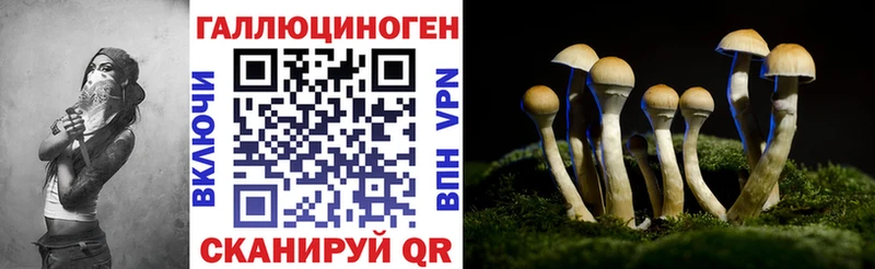 Галлюциногенные грибы GOLDEN TEACHER  Ливны 