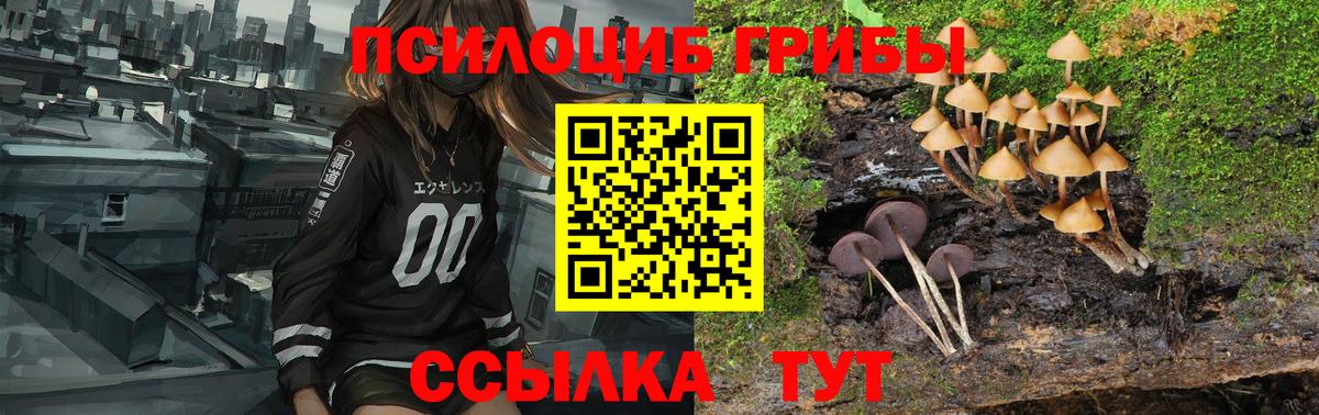 где купить наркоту  Псилоцибиновые грибы прущие грибы  Вход с VPN  Ливны 