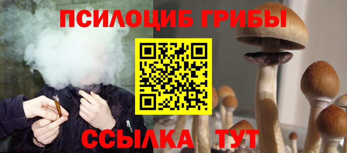 Галлюциногенные грибы мицелий Ливны